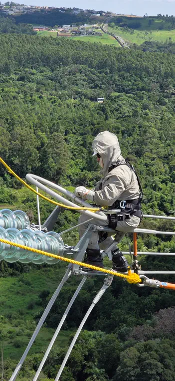 Manutenção em linha energizada sobre área de vegetação nativa.