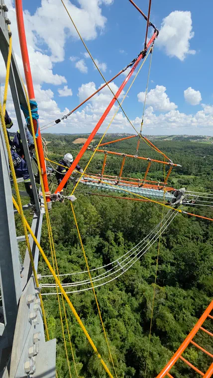 Manutenção em linha energizada sobre área de vegetação.