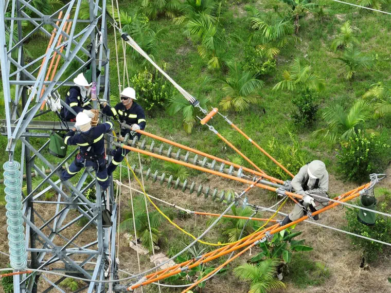 Manutenção em linha energizada sobre área de mata.